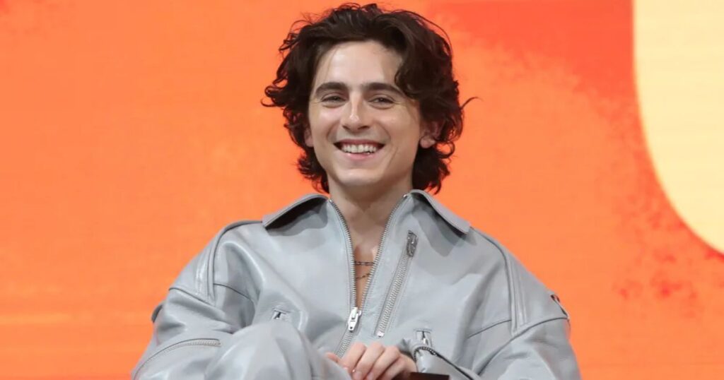 Timothee Chalamet's Character Suitability